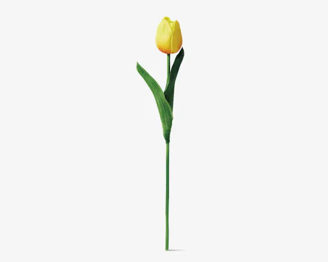 Tulipaner plast 10 stk.