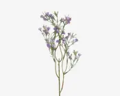 Stilk med blomster lilla H.35 cm 