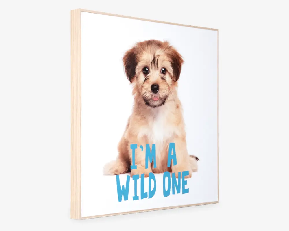 Billede puppy - I am a wild one 
