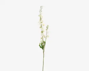 Delphinium stilk ass H.85 cm